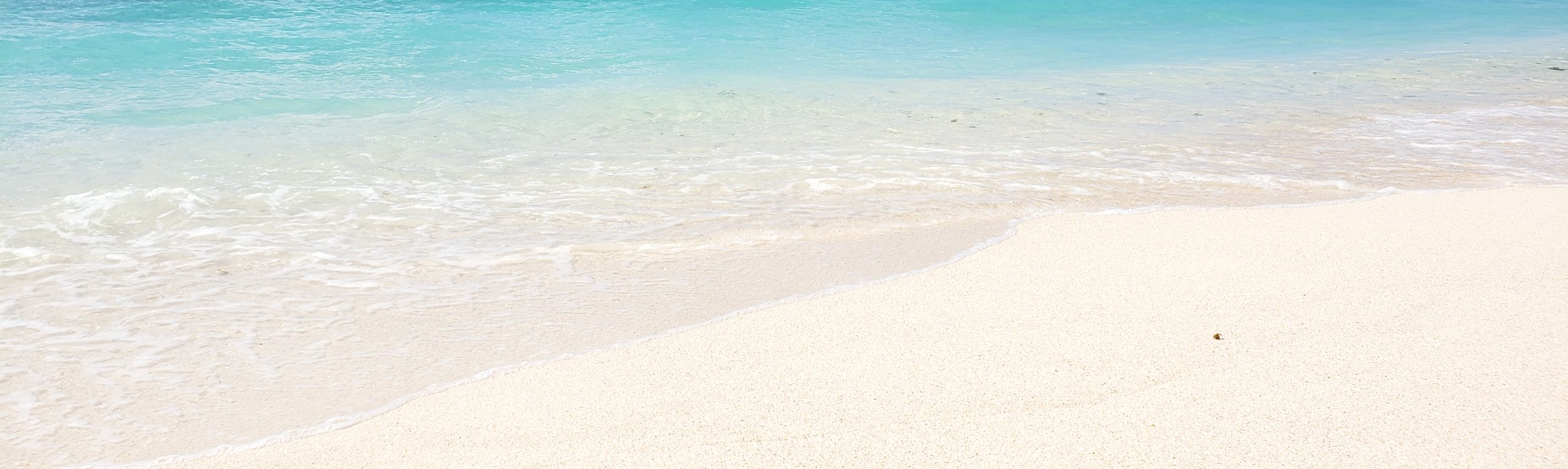 ペンギンモバイル沖縄